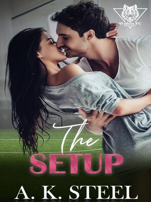 cover image of The Setup